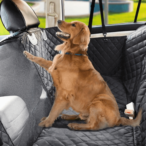Pampered Pups and Custom Car Seat Covers